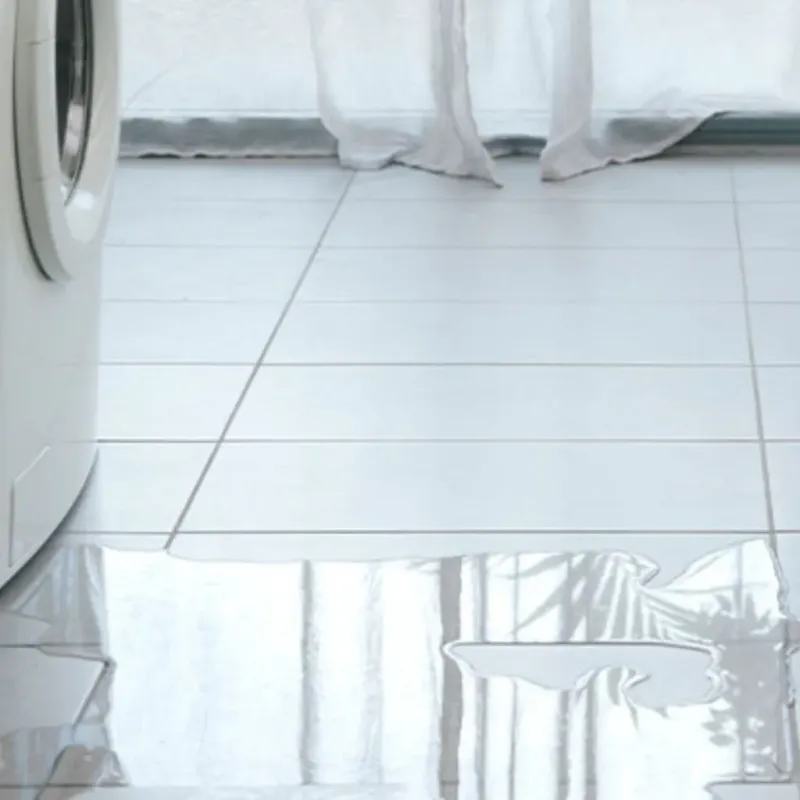 Appliance Leak Cleanup in Anna, TX