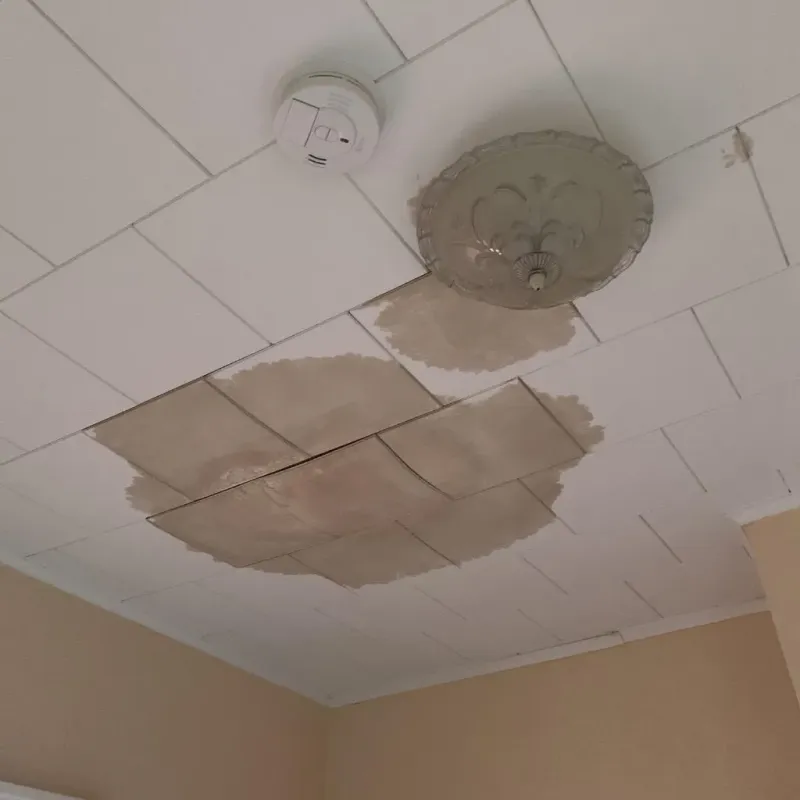 Ceiling Water Damage Repair in Anna, TX