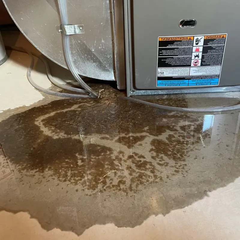 Pipe Burst and Leak Restoration in Anna, TX