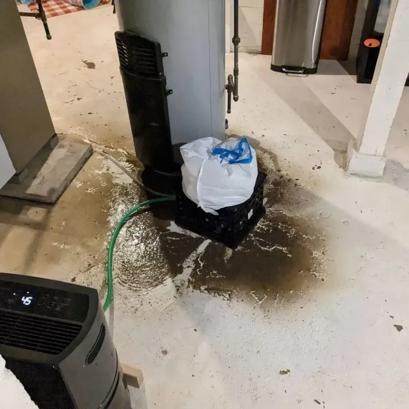 Sewage Backup Cleanup Service in Anna, TX